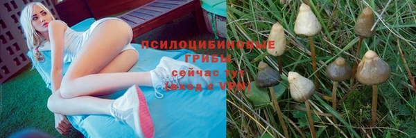 ALPHA PVP Армянск
