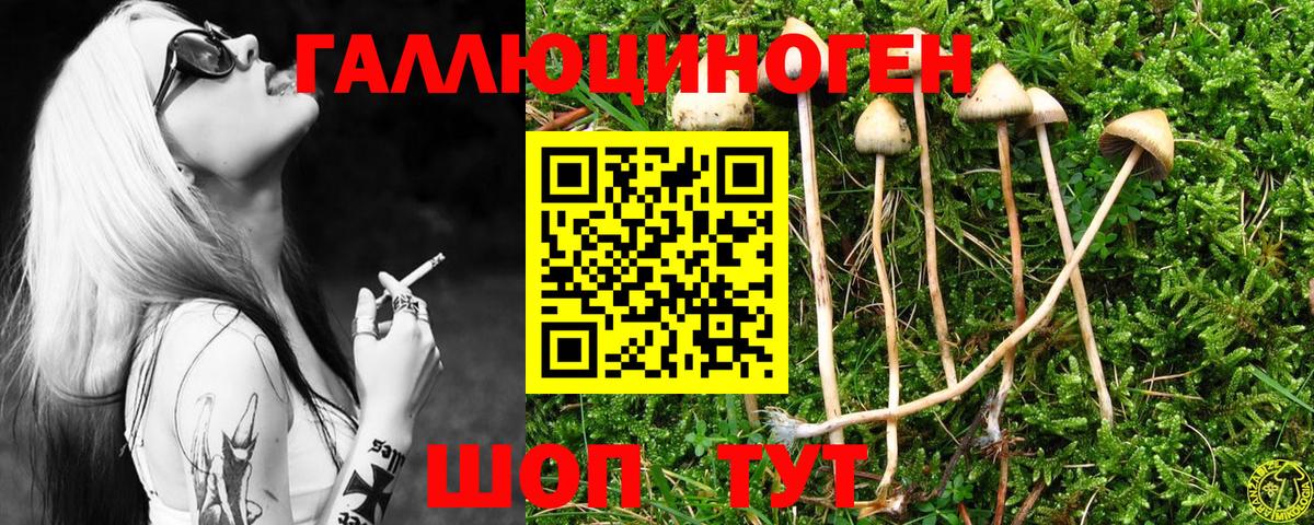 Асино  Галлюциногенные грибы Cubensis  сколько стоит  Вход с VPN  Галлюциногенные грибы мухоморы 